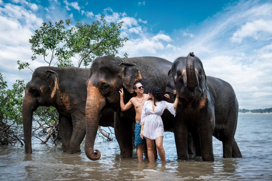 Elephant Care Camp at Siray – Phuket (Feed & Play (No Transfer) 9.00-15.30)