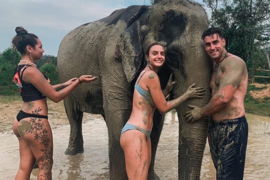 Phuket Elephant Care (Full-Day Explorer Program)